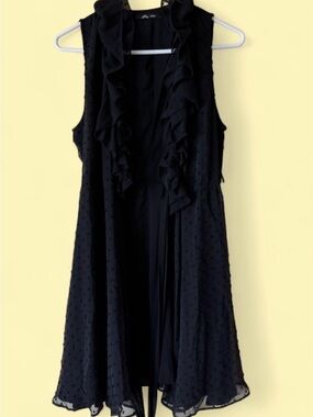 Bizz Sleeveless Black Ruffle Front Dress